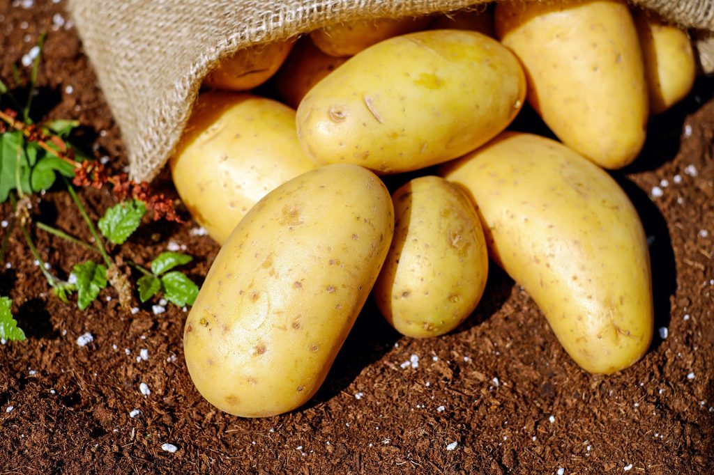 potatoes 4